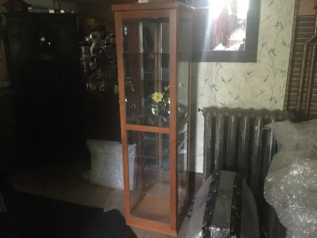 Vintage Danish Teak Display Cabinet, Mirror Panel, Inner Light in Hutches & Display Cabinets in Edmonton - Image 3