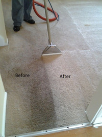Carpet&Rugs (Steamed,Very Clean like new)