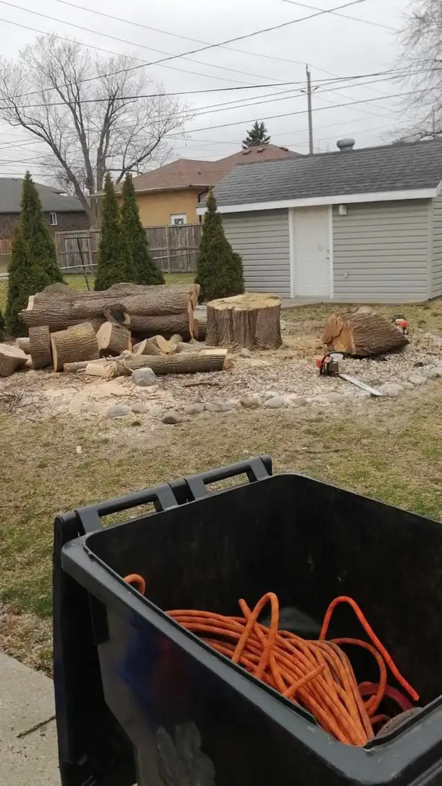 JB's  Tree Services in Other in Windsor Region - Image 9