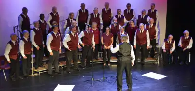 Do you like to sing? Try barbershop style harmony., View more