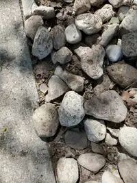 Free stone in garden bed