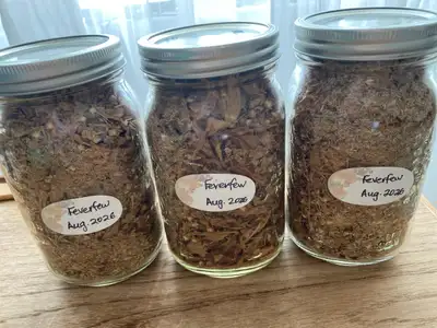 FREE HERBS FOR HERBALISTS!, View more