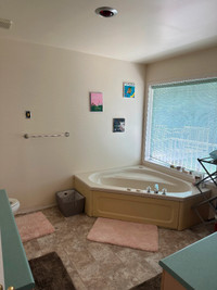 3 bedroom 2 bath House