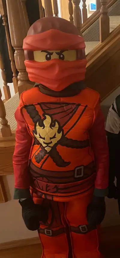 Lego Ninjago Halloween Costume, View more