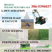 Regina Lawn Aeration Power Rake Vacuum Seed Fertilizer 