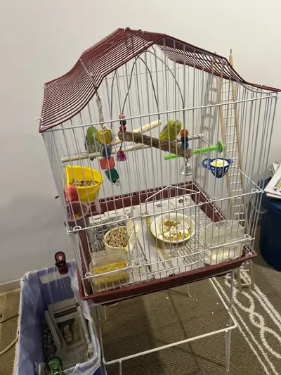 I am looking to buy a Linnie. Plse contact me if you have one to sell. Thank you