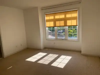 KANATA North SPACIOUS TOWNHOUSE for rent November 1st, View more