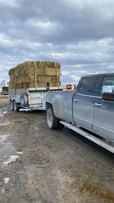 Hay for sale, View more