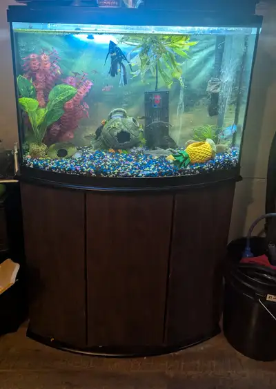 $100 OBO Never had issues. Never leaked. Comes with top fin filter, heater, Lid and light (lid hinge...