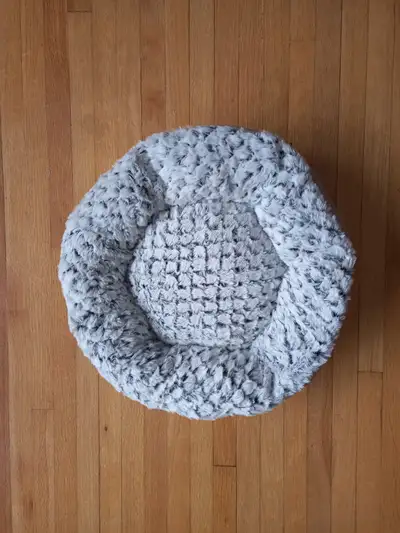CAT BED SHOWED KNOW INTEREST NEW