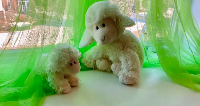 Mama Sheep Plush and Her Baby Emotional Report 20$63005667819267123