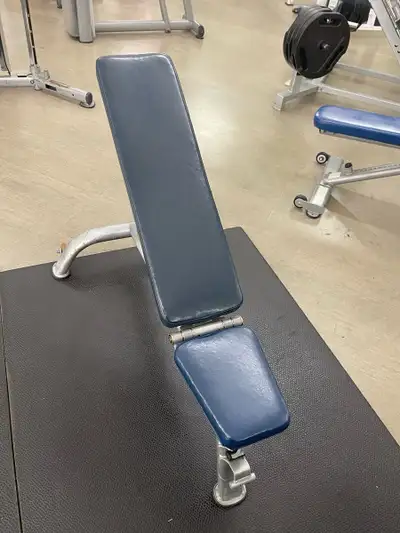 Paramount XFW6700 Flat Incline Decline Bench, View more