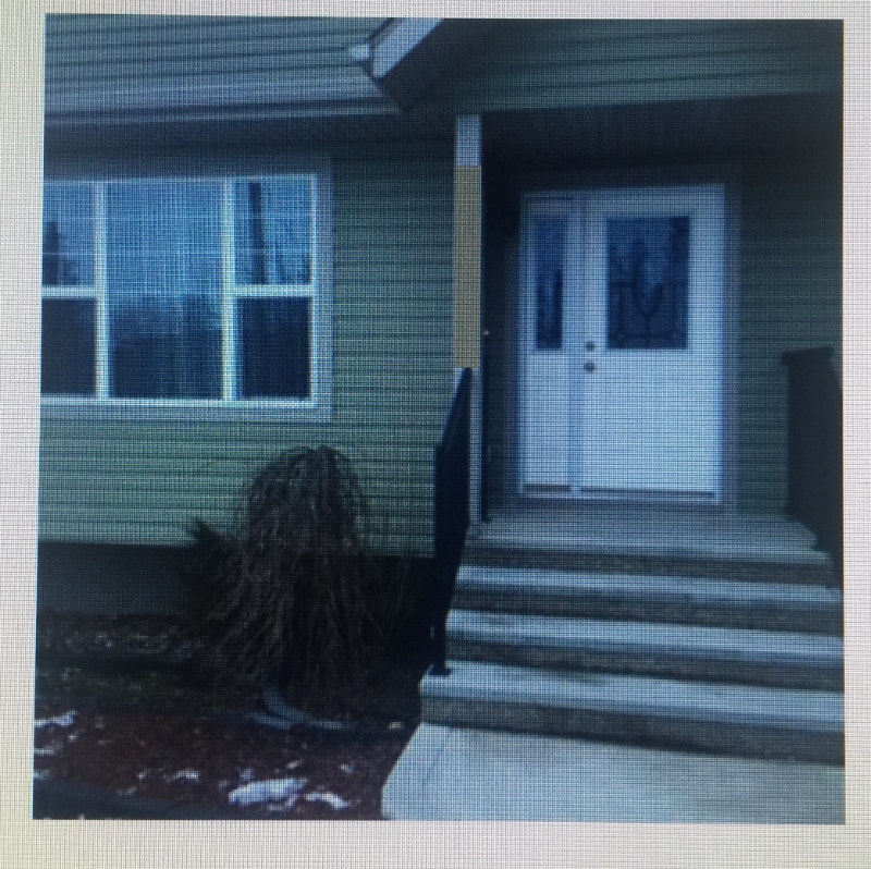 For rent half duplex in Rocky Mountain House. Long Term Rentals Red