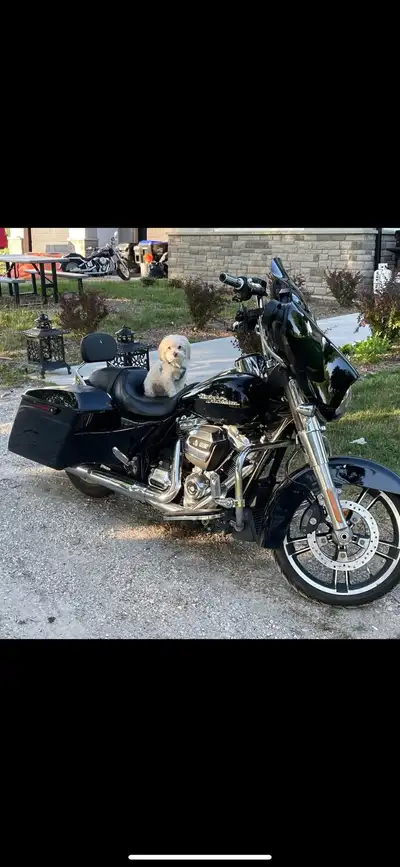 2019 Harley Davidson street glide