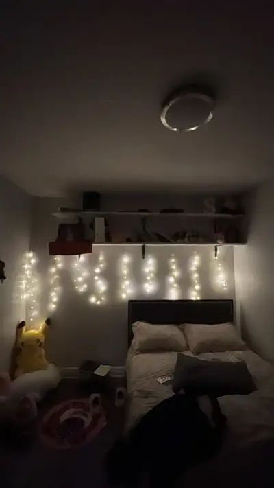 hi. this is a 1bedroom+den unit. you will be sharing this with my roommate as i am moving out becaus...