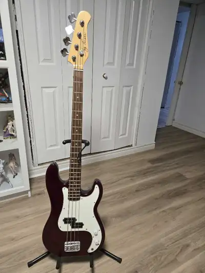 jay turser bass, View more