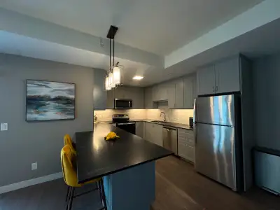 2 Bed 2 Bath Modern Apartment for Rent