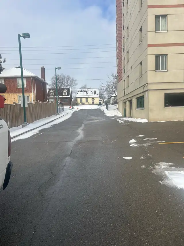 Fall clean ups  /snow removal 563808872159651843