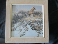 Robert Bateman print of Coyote in the wild