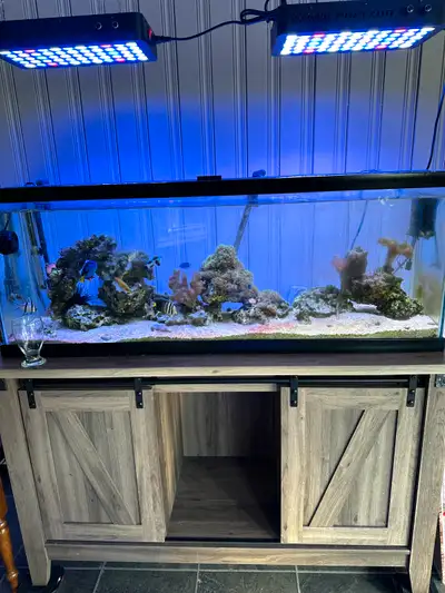 Selling my 50 GALLON Saltwater fish tank- WITH live coral & fish stock !!! - Total invested $ 3800.0...