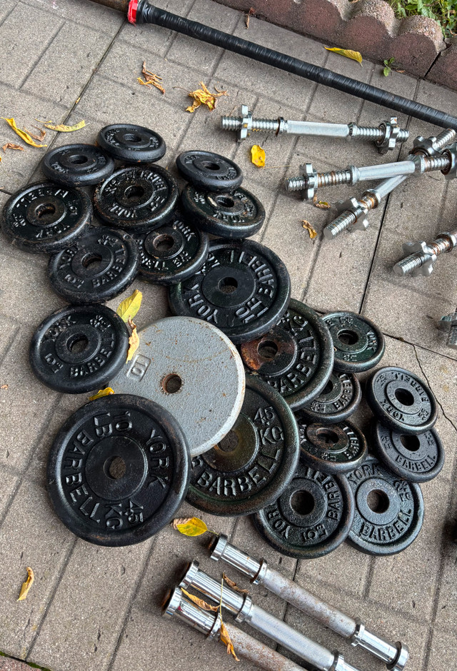 Metal Weights/Dumbells/Barbell in Exercise Equipment in Ottawa - Image 3