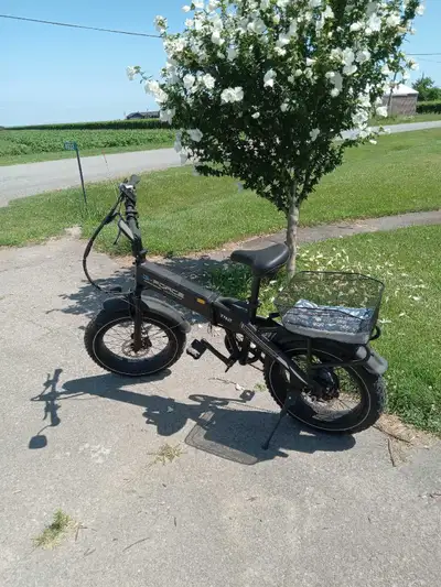 G-Force T42 Ebike, View more