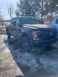  Ford F350 lariat trimmer