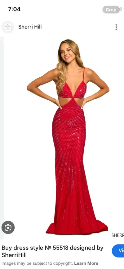 Sherri Hill prom dress, View more
