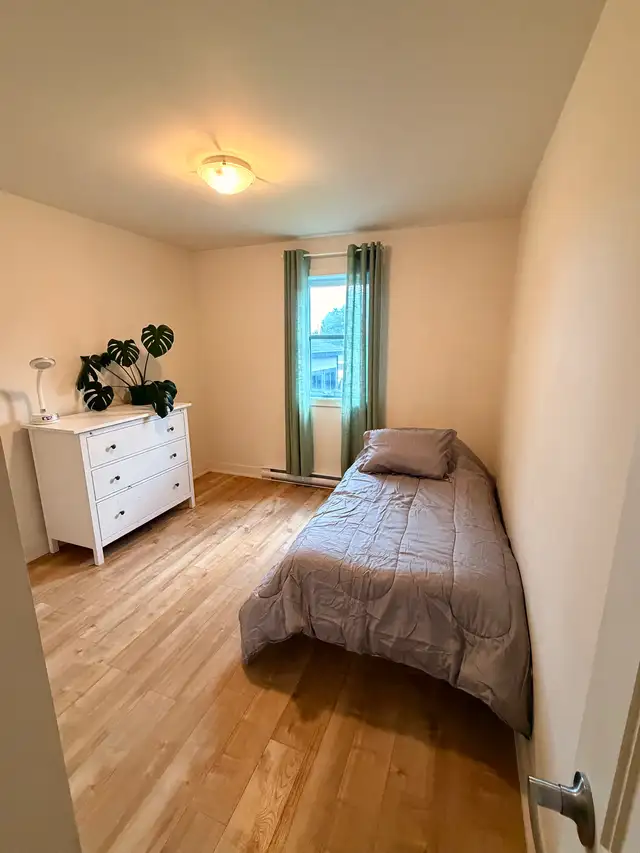 Coloc recherché in Room Rentals & Roommates in West Island - Image 2