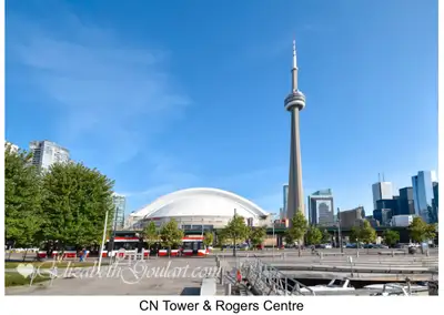 New furnished 2BD+2BA condo for rent downtown Toronto / Aug 10th
