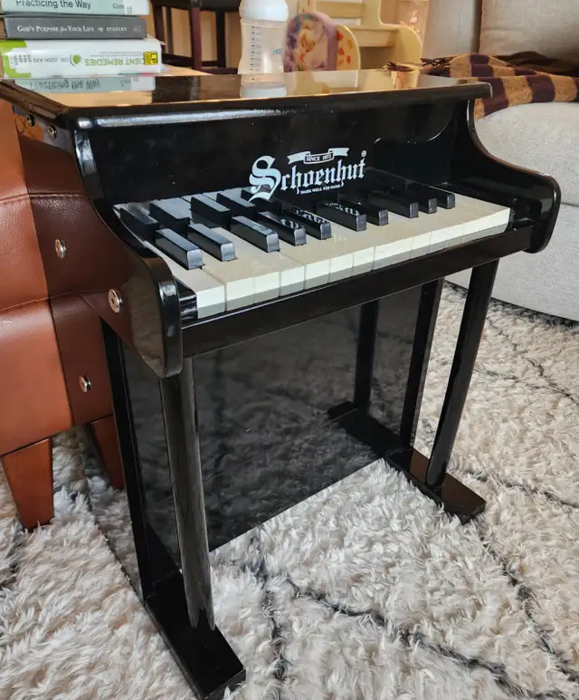 Srhoenhut mini upright piano in Pianos & Keyboards in Red Deer - Image 2