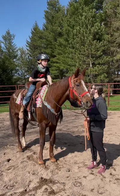 ***Beginner safe/family safe Standardbred mare***, View more