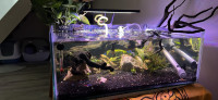 28 gallon shallow fish tank