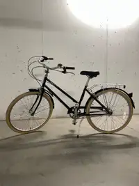 Original Brooklyn Willow 3 Speed Bike