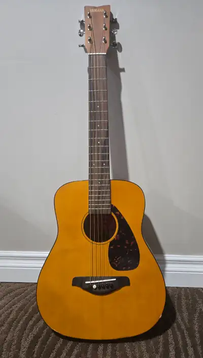 Gently used. Beginner friendly. Case included. Slight paint damage.