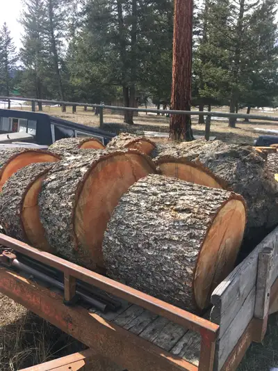 Firewood for sale as shown in photos $250. Can split fir $350. Call or text Scott. Located in Cranbr...