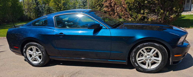 2012 Ford Mustang V-6, Low Km, Excellent shape  in Cars & Trucks in St. Albert - Image 4