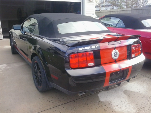 2008 Shelby GT500  Conv  18000 miles  Ph 587-471-611 one in Cars & Trucks in Calgary - Image 2