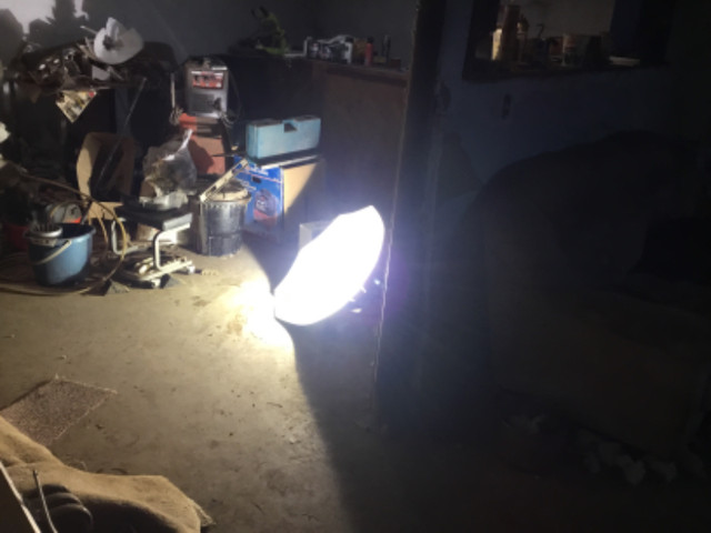 Hydroponic light set up in Indoor Lighting & Fans in Belleville - Image 4