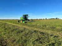 ISO hay land for rent or purchase standing crop 