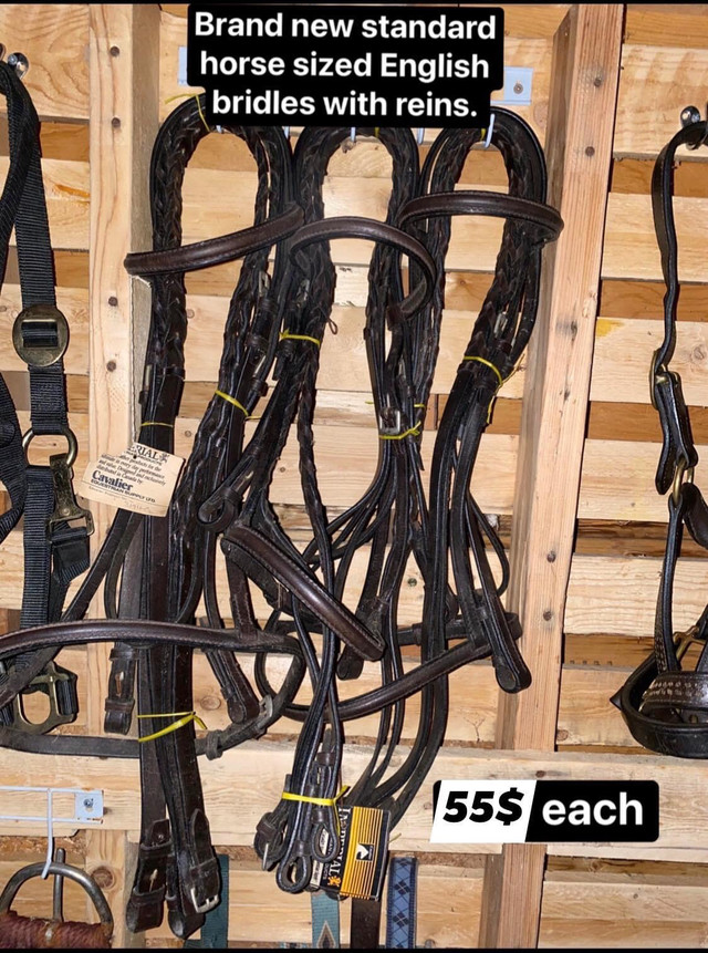 New English bridles and reins  in Equestrian & Livestock Accessories in Leamington - Image 2