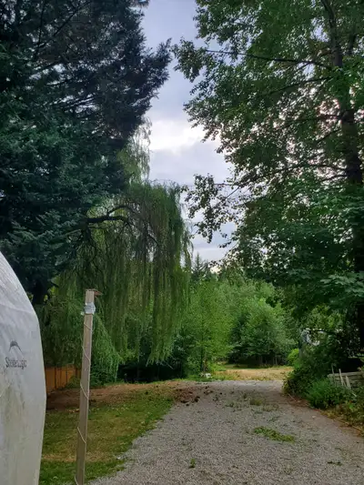 For Sale by Owner: Two homes on one acre. A new roof was installed on the cottage in October 2025. C...