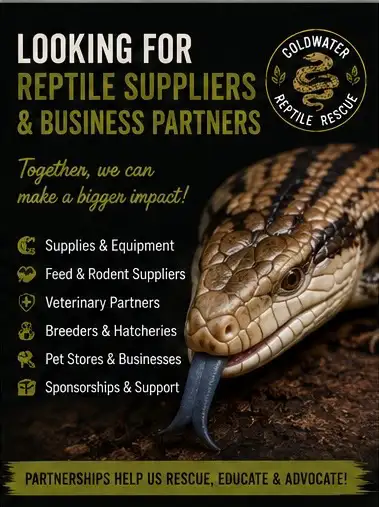 LOOKING FOR REPTILE SUPPLIERS & BUSINESS PARTNERS, View more