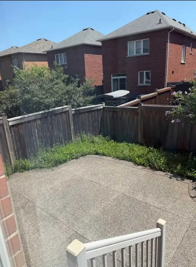 lawn mowing. Trimming.sod installation 4168235015