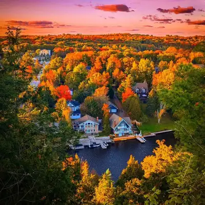 Muskoka Wilderness Tours!, View more