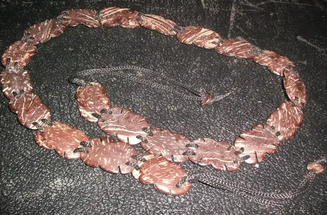 Coconut Shell Belts62863279838210121