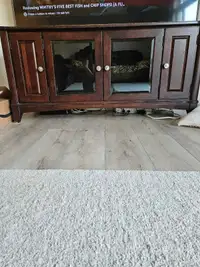 TV stand/cabinet