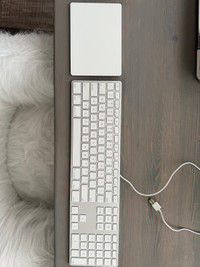 Apple magic trackpad & magic keyboard (white)