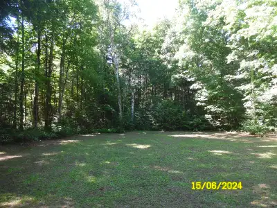 Bracebridge area, quiet, peaceful, beautiful, mature trees, flat, prepared, driveway, bell, hydro at...