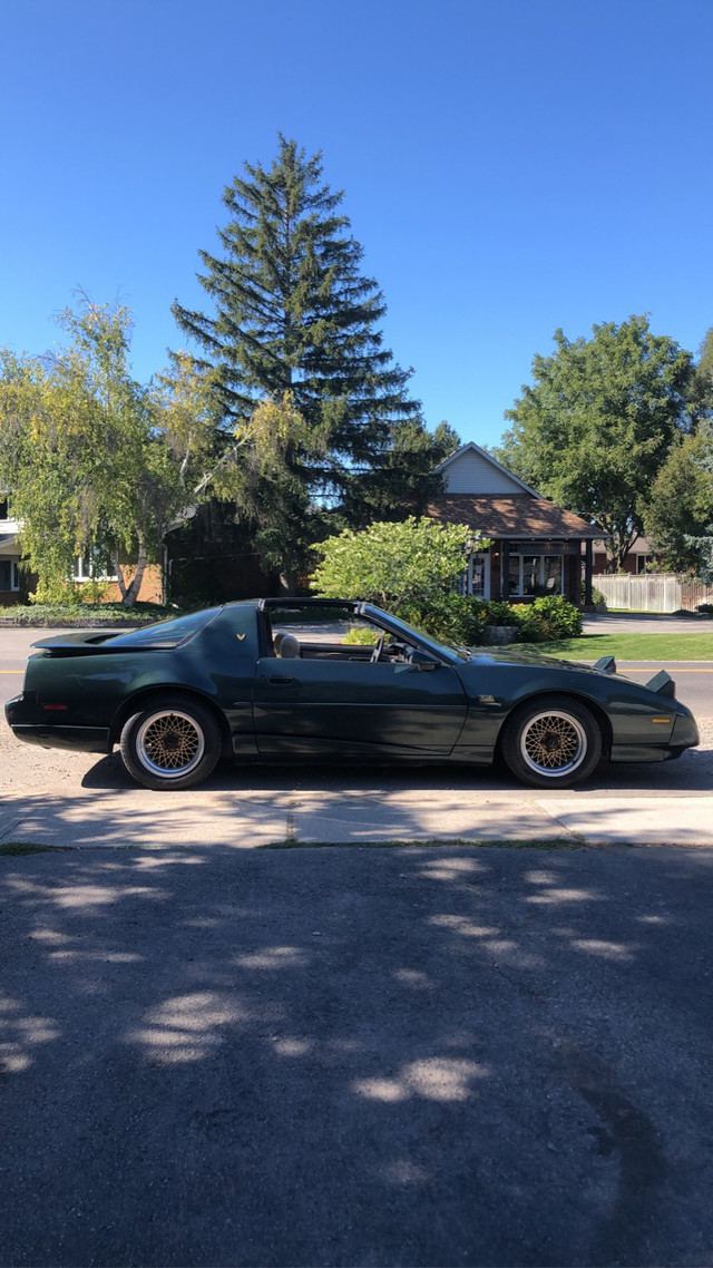 Looking for Third Gen F-Body in Classic Cars in City of Halifax